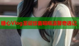 糖心Vlog圣诞惊喜喵喵温馨奇遇记