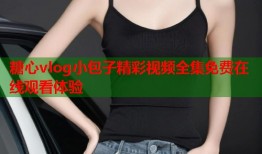 糖心vlog小包子精彩视频全集免费在线观看体验