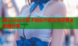 糖心vlog小包子精彩内容在线观看全攻略分享