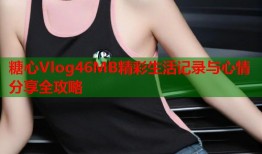 糖心Vlog46MB精彩生活记录与心情分享全攻略